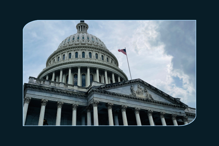 The United States Capitol building.